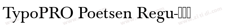 TypoPRO Poetsen Regu字体转换
